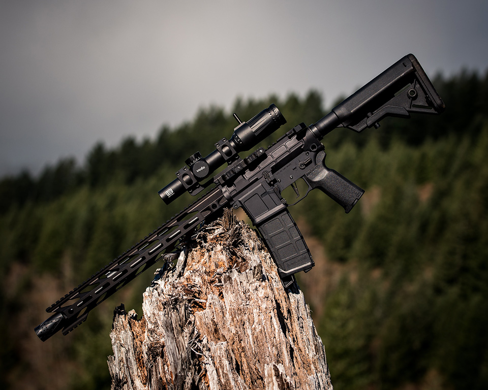 black AR-15 rifle balanced on a jagged tree